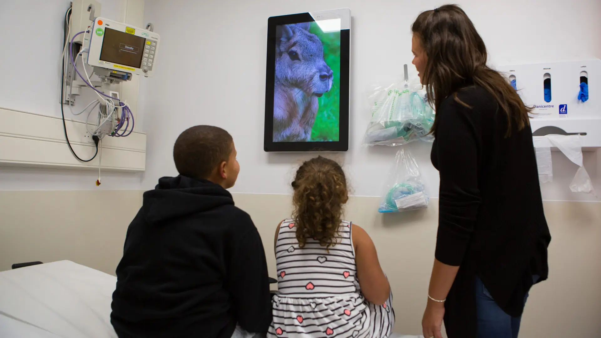 £979 to install a screen in a dental paediatrics consultation room showing moving portraits of domestic and wild animals, helping to distract and calm young patients