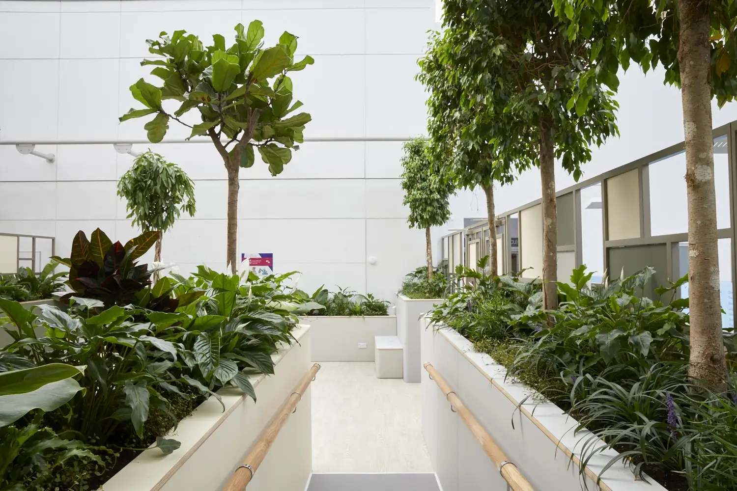 CWH Sky Garden4 - credit Britt Willoughby Dyer