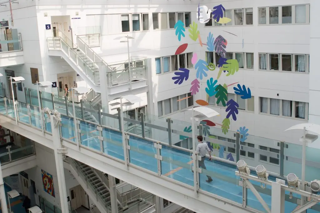 Falling Leaves by Sian Tucker in atrium at Chelsea and Westminster Hospital